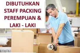 Karyawan Staff Packing Online Olshop