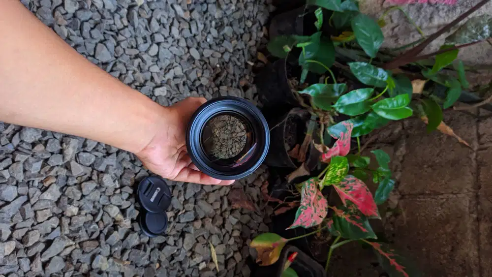 Lensa fix Canon EF 85mm f1.4 L IS USM