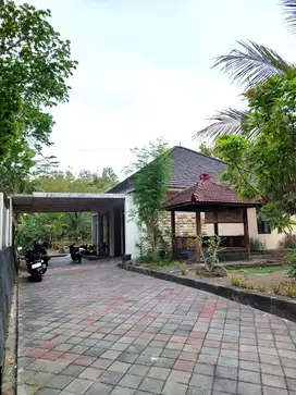 Rumah Asri dengan Halaman Luas di Sedayu