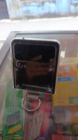 Samsung z flip 3