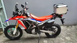 Honda CRF rally 250