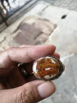 Batu gambar naga dan motif loreng