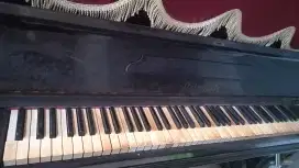 Piano steinmetz