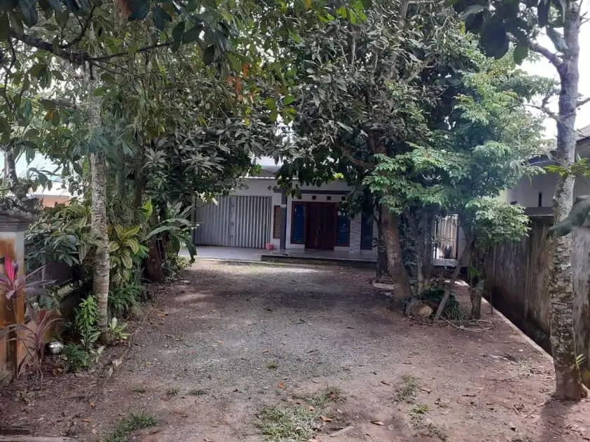 Di jual MURAH /di kontrakkan rumah pinggir jalan raya