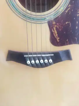 Gitar akustik elektrik Cadenza Ori