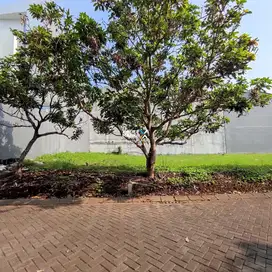 Dijual Tanah Dalam Cluster Favorite Nieuw Indie di Perum Elite Araya