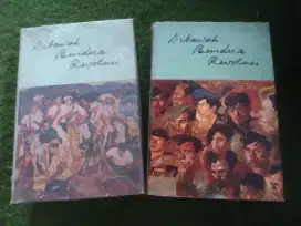 Buku Dibawah bendera revolusi