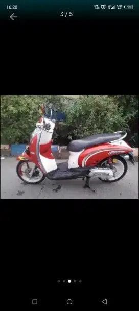 Honda Scoopy ORI