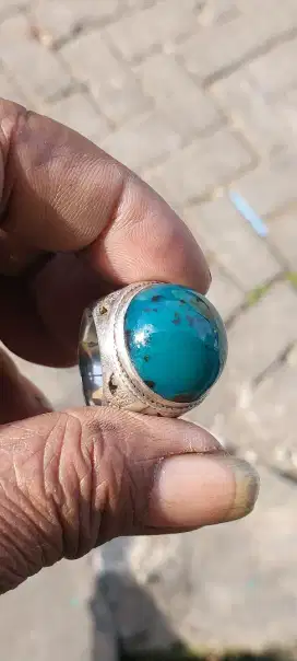 Bacan majiko size besar