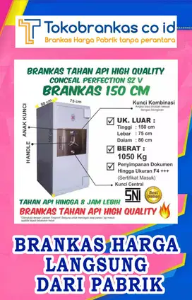 Brankas conceal perfection size 5-