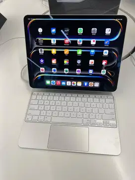 ipad Pro 13 inci 256