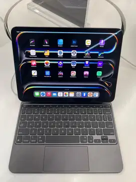 iPad pro 11 inch 256
