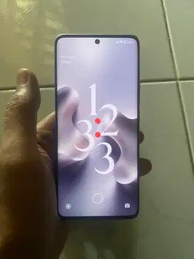 Redmi Note 13 Pro+(5G)