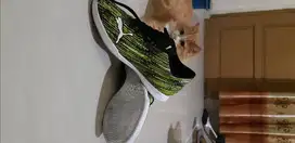 Sepatu Futsal Puma