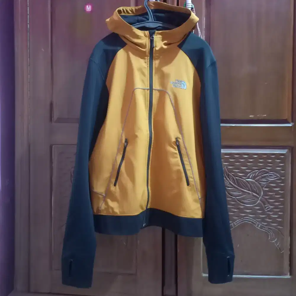 The nort face jaket