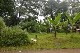 Jual Tanah Kalimulya Depok