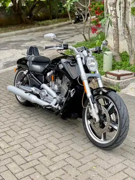 HD VROD MUSCLE (RARE ITEM)