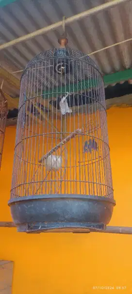 kandang bekas burung love bird besi masih bagus. jelasnya silakan baca