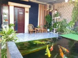 Dijual Rumah di Pilang Kademangan Kota Probolinggo