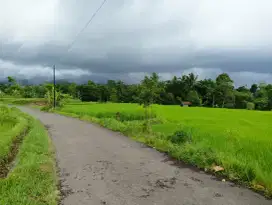 Dijual sawah view Gunung salak