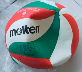 bola voli molten vsm5000