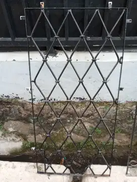 Daun jendela kayu & teralis besi padat