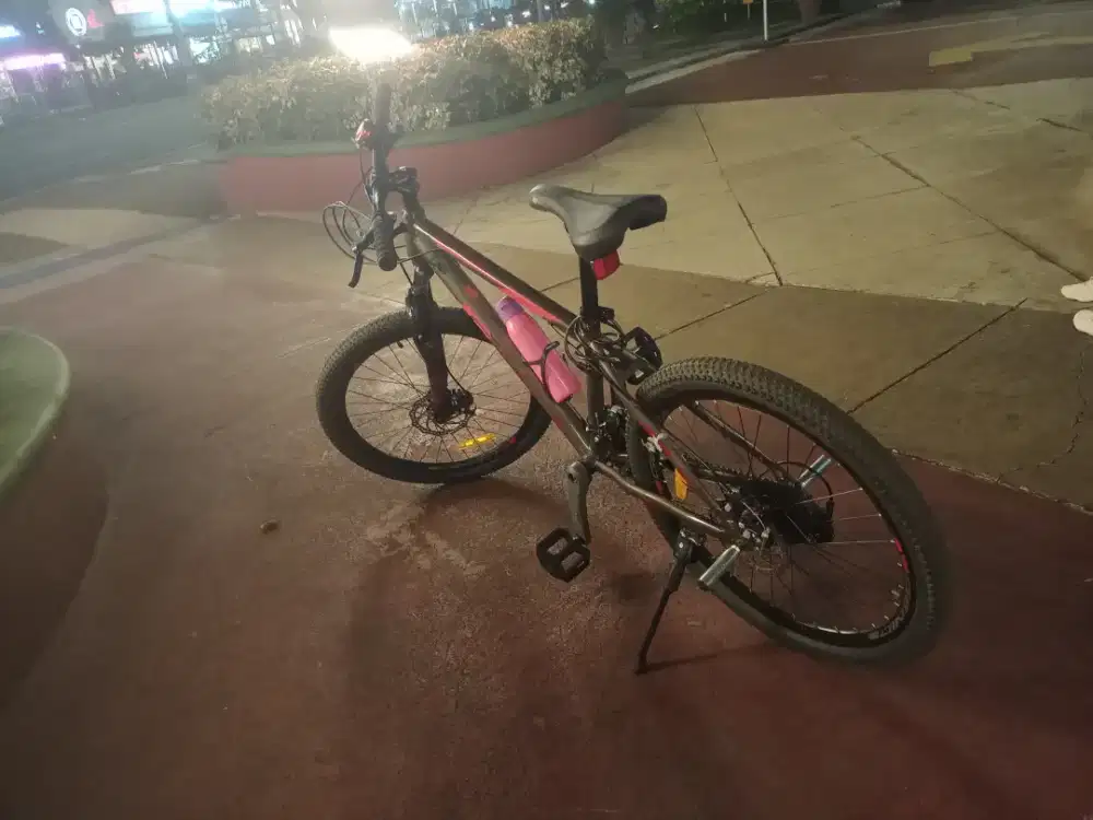 Sepeda genio youth 24..