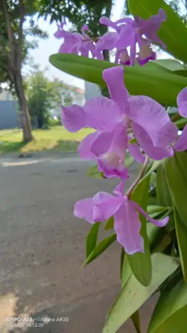 Mencari pekerjaan