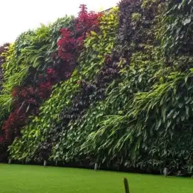 Jasah pembuatan pertical garden