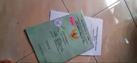 Tanah Murah di Krembangan Kulon Progo, DIY