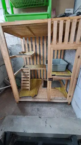 Kandang Kayu untuk Kucing