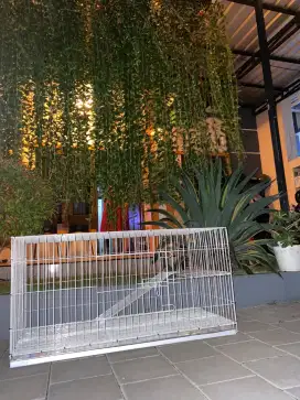Jogja KandanG KucinG Galvanisnya