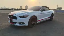 Ford Mustang ecoboost convertible