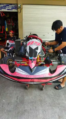 Gokart tony kart rotax engine