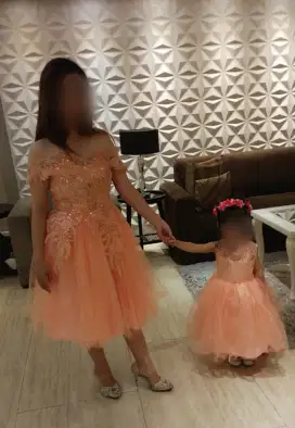 Dress /gaun stelan