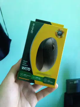 Mouse Wireless R-ONE W170