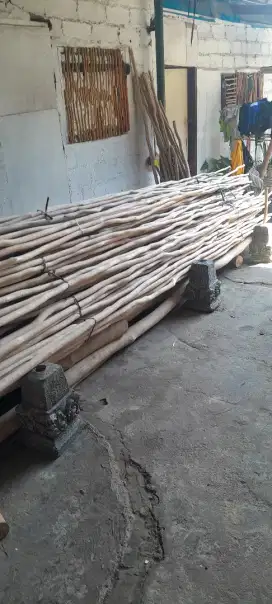 Kayu gelam kalimantan