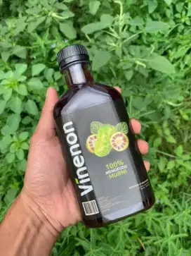 Vinenon Cuka Mengkudu Untuk Batu Ginjal Gula Darah Kolesterol