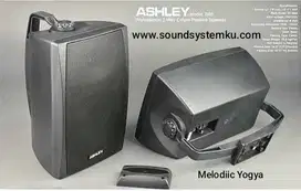 Speaker Pasif 8Inch Ashley B85