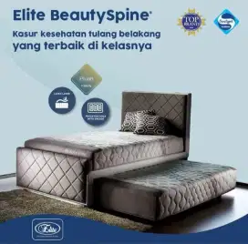 Elite springbed beauty  spine