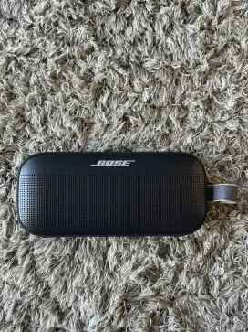 Bose soundlink flex