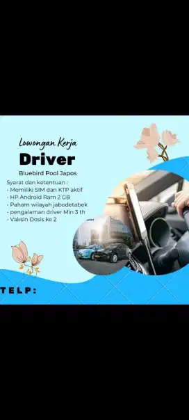 Dibutuhkan driver profesional