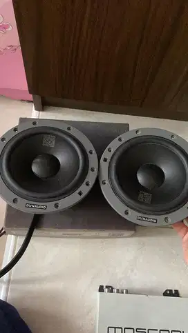 Dynaudio midbass Esotan