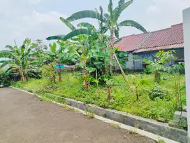 Dijual Tanah/ Kavling di Cilendek Indah Bogor