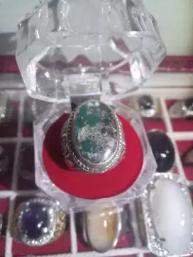 Pirus persia jumbo kode 18