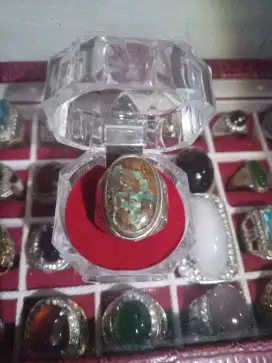 Pirus persia serat emas kode 19
