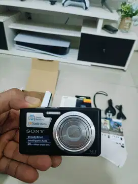 Sony Cyber-shot Dsc-w610 14.1mp Digital Camera