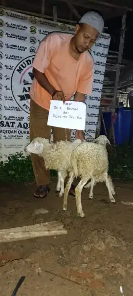 kambing nazar paket hemat