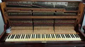 Stem Piano dan Grand Piano