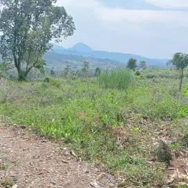 Tanah di Pabuaran Sukamakmur view gunung cocok untuk villa